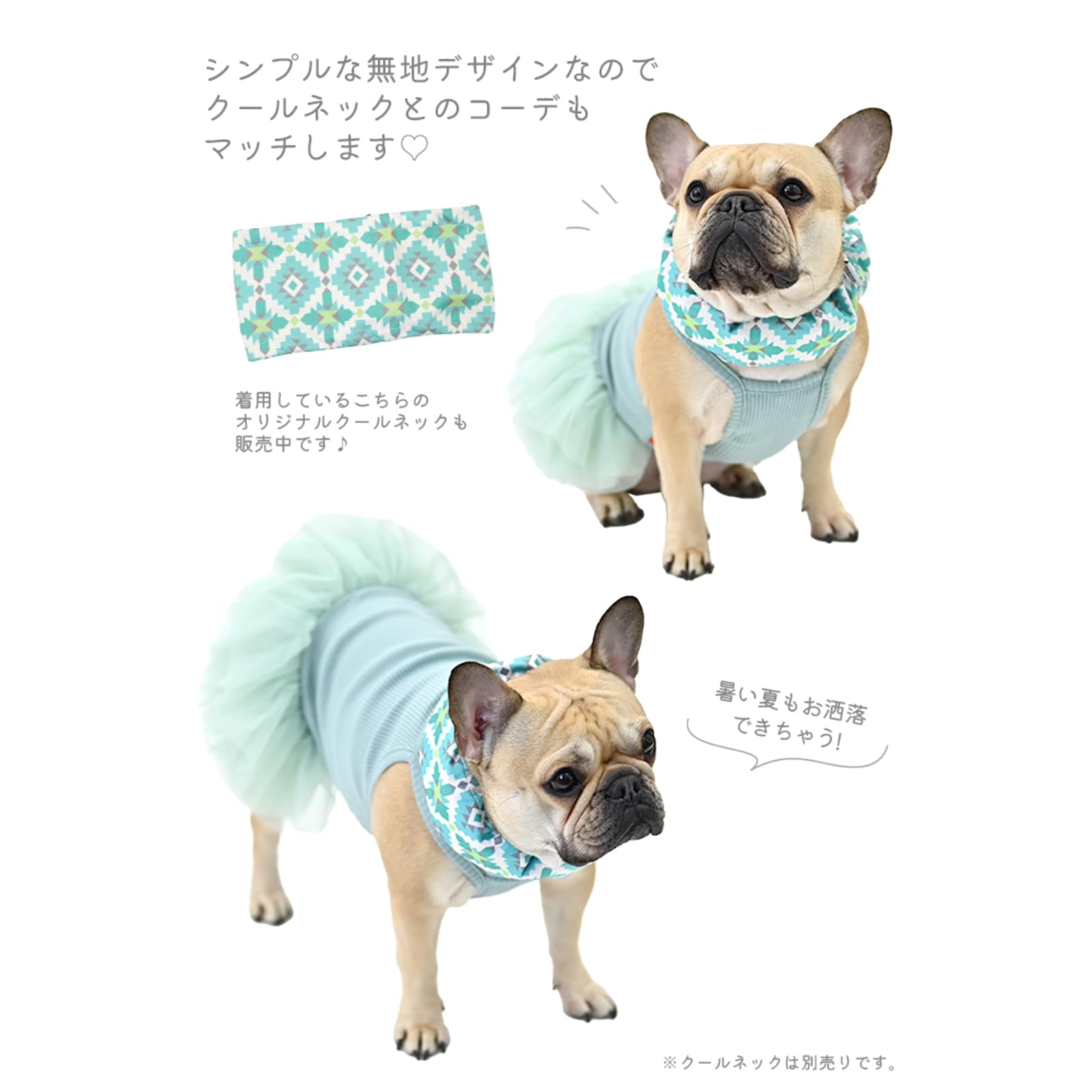 Amazon | 【新色追加】ワンピース 犬服 可愛い バレリーナ